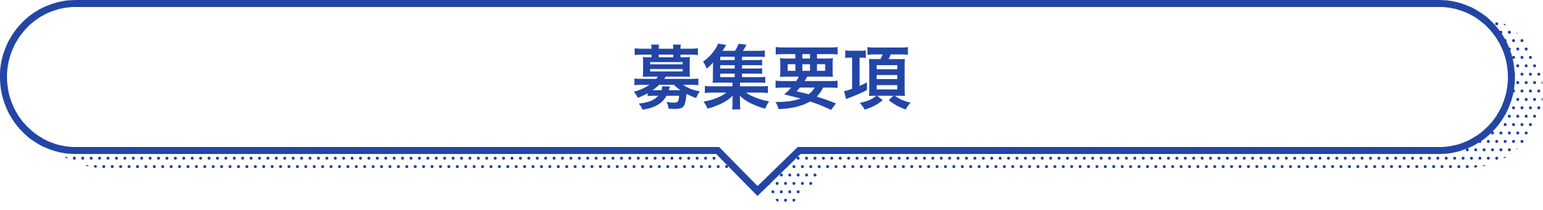 募集要項